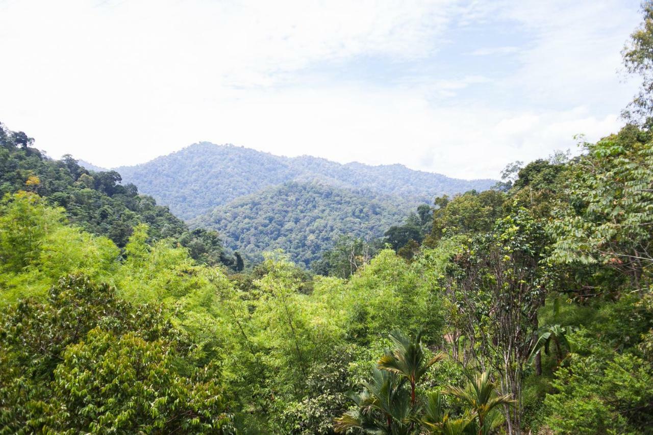 Puncak Rimba Hotel Bentong Zewnętrze zdjęcie